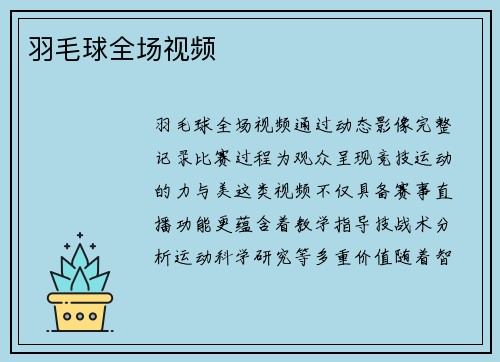 羽毛球全场视频