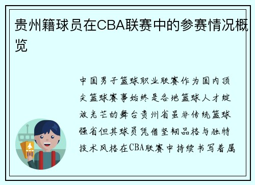 贵州籍球员在CBA联赛中的参赛情况概览